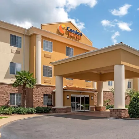 Comfort Suites Alexandria North-2